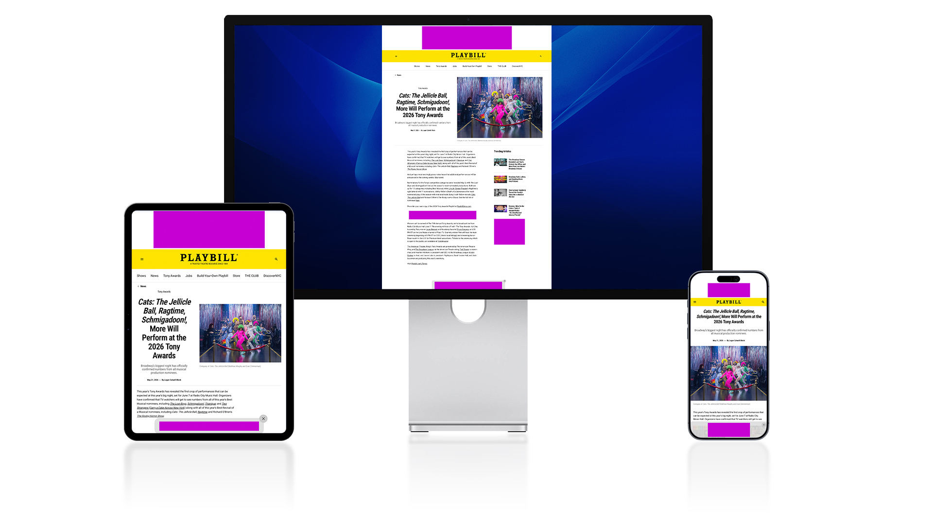 High Viewability Article 2026